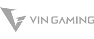 vin-gaming